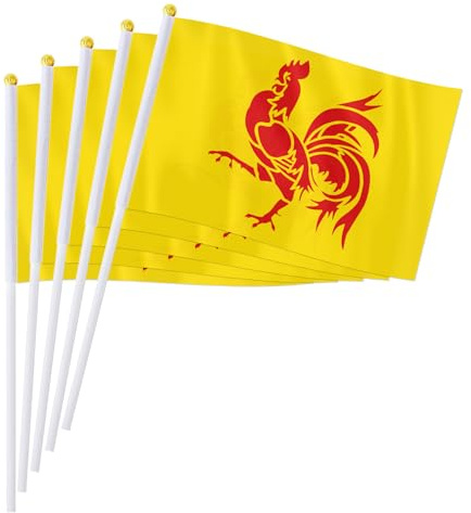 PTEROSAUR Lot de 100 drapeaux wallons à main, 14 x 21 cm, petit drapeau wallon pour célébration de festival et décoration d'étagères