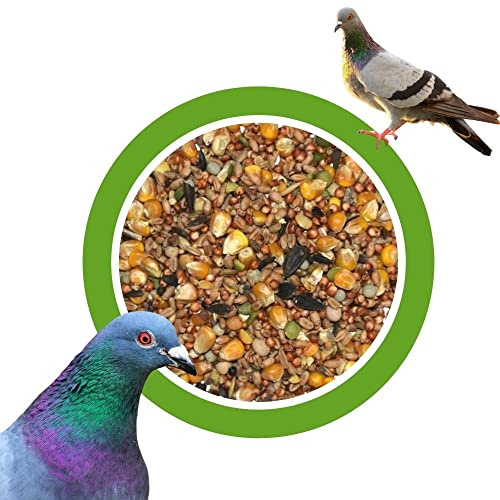 Taubenfutter Mélange de graines pour pigeons - 25 kg