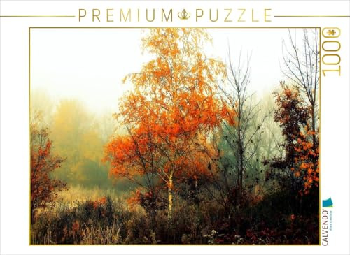 CALVENDO Puzzle Herbst im Pennigbüttelermoor/Teufelsmoor | 1000 Teile Lege-Größe 64 x 48 cm Foto-Puzzle für glückliche Stunden