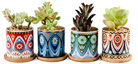 XUDREZ Set di 4 vasi per piante grasse in ceramica, 7,3 cm, mini vasi da fiori con vassoio in bambù, decorazione per casa e ufficio (set di 2)