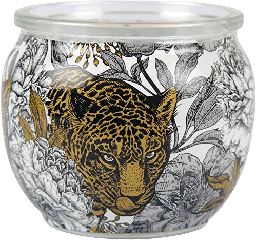 HS Candle Duftkerzen Motiv im Glas, Lange Brenndauer und angenehmer Duft Anti-Tabak (Ginger Lime)