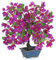 Arborus Kunstblumen im Keramik Topf 47 cm Bougainvillea Künstlich Bonsai Kunstpflanzen Blüend Künstliche Blumen wie Echt im Topf Dekopflanzen für Tisch Regal Deko im Wohnzimmer Schlafzimmer