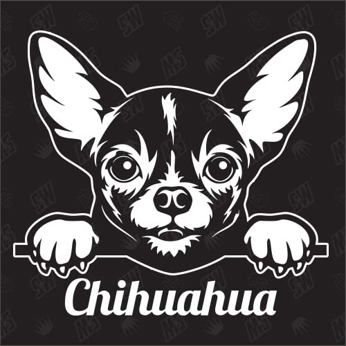 Chihuahua Version 1 - Sticker, Hundeaufkleber, Autoaufkleber, Hund, Auto, Hunderassen, Aufkleber, Mischling, Mix, Tiere, Haustier (AUCH MIT Wunschname MÖGLICH)
