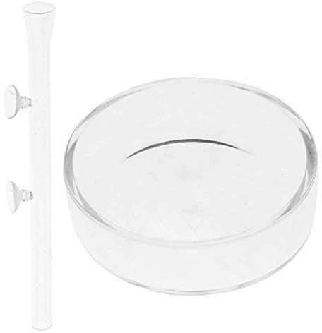 Générique Gamelle en Verre pour Crevettes + Tube d'Alimentation de 30 cm pour Aquarium