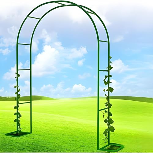 Schwer Rosenbogen Gartenbogen Rankhilfe 0.8m/1.4m/1.8m/2.4m/3m/3.5m W Stabil Metall Torbogen für Rosen, Pergola Bogen aus Metall Außenbereich Hochzeitsbogen(Green,80cm W x 200cm H)
