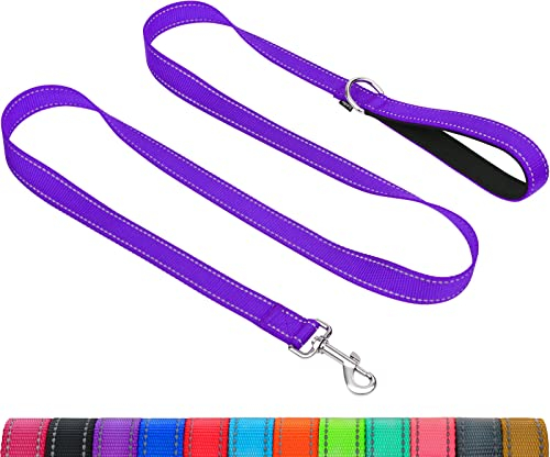 Taglory Hundeleine Kleine Hunde Leicht | Doppelseitig Reflektierend | Gepolsterter Griff | Bis zu 10 kg | 1.8m x 2cm | Lila
