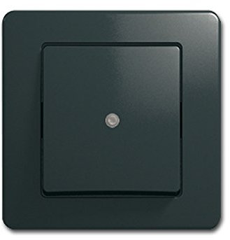 EKONOMIK Kontroll-Schalter anthrazit 250V~/10A, UP