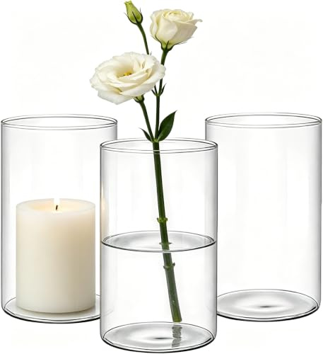 Vase Glas, 3 Teiliges Set Zylinder Glasvase, Leicht zu reinigen Multifunktionale Vasen, für Wohnzimmer Deko Hochzeitsdeko, Tischdeko, Frische Blumen (3)
