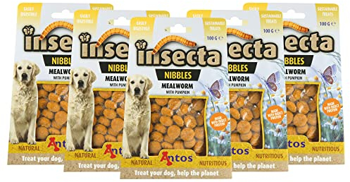 5 x 100g Insecta Nibbles Mealworm (Mehlwurm & Kürbis) Hundekekse - nachhaltig - gut verdaulich - Allergiker-geeignet