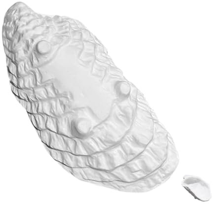 FELTECHELECTR Plato De Cerámica Para Ostras Diseño Único y Multifuncional Para Presentaciones De Comida y Aperitivos Eventos y Celebraciones Apto Para Lavavajillas