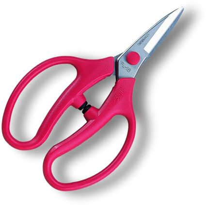 Ars Corporaci?n Furanban tijeras de flores 160mm (blisters incluidos) FL-16-BP (jap?n importaci?n)