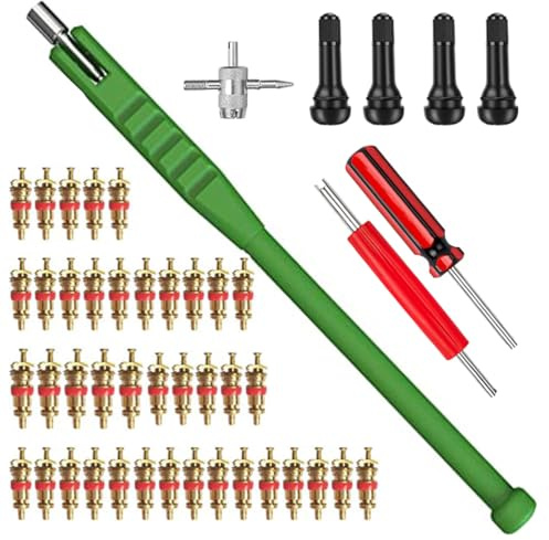 Sayago Reifenventil-Set, 40 Ventilkerne, 4-Wege-Tool & Ventilentferner