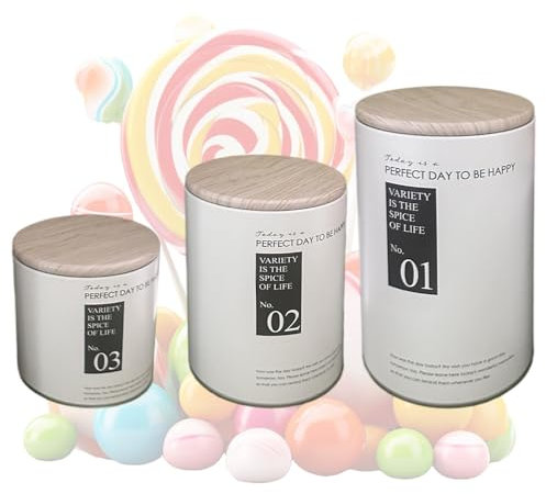 TQEBWUS Pots de stockage en métal avec couvercles,Bocal en métal,Boîte de cuisine contenant de stockage des aliments 3 pièces | Bidons alimentaires en métal respectueux de l'environnement, stockage de