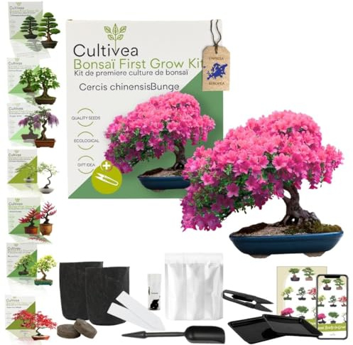 CULTIVEA® Bonsai Startkit Cercis Chinensis – Odla Själv med Frön & Tillbehör – Presentidé Trädgård | Tillverkad i Frankrike