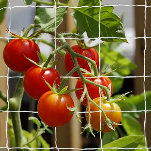 Tcamp Rankgitter für Kletterpflanzen, Gurken-Rankgitter für den Garten (15,2 x 9,2 m, 15,2 cm quadratisches Netz-Polyester, 2 Stück)