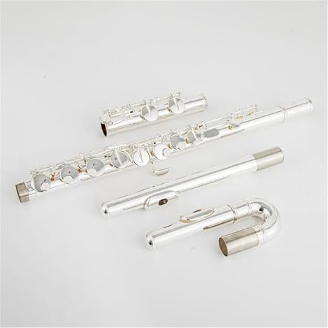 Altflöte, G-Ton, 16 Löcher, Geschlossene Löcher, Versilberte Tasten, Professionelles Instrument Mit Koffer Querflöte kit