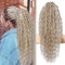 FLUFYMOOZ Ponytail Extension Pferdeschwanz Verlängerung, 66 cm Pferdeschwanz Haarverlängerung im Bohemian-Stil mit Kordelzug für Frauen (66 cm Hellblond mit weißblonden Strähnchen)