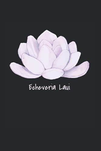 Echeveria laui Sukkulenten: DIN A5 Liniert 120 Seiten / 60 Blätter Notizbuch Notizheft Notiz-Block Lustige Sukkulenten Spruch für Botaniker Pflanzenliebhaber