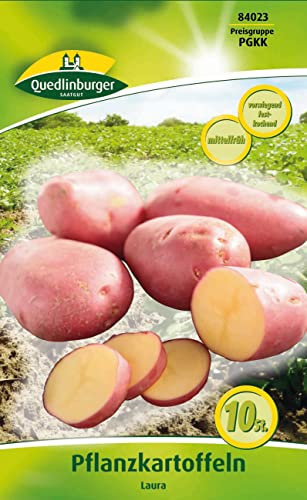 Quedlinburger Pflanzkartoffeln Laura mittelfrüh, vorwiegend festkochend (10 Stück)