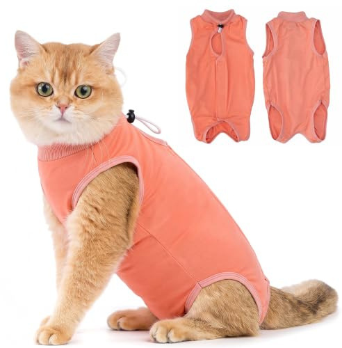 Avont Tuta da Recupero per Gatti, Body Gatto Post Operatorio Sterilizzazione, Cat Recovery Suit, Vestito Gatto per Impedire Leccare Ferita Addominale Dopo l'intervento Chirurgico –Corallo(M)