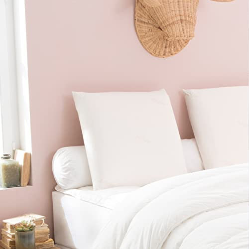 DODO | Oreiller Végétal Memory Green 40x60 I Ergonomique en Mousse à Mémoire de Forme Végétale I Soutien Optimal des Cervicales I Housse Lavable à 40°C I Fabriqué en Europe