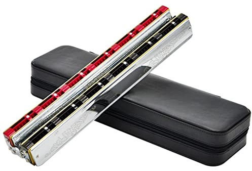 HDYNUZ Mundharmonika, professionelle Akkord-Mundharmonika, 24 Gruppen (5 Akkorde), C-Dur, ABS-Harz, Modern, mit Hartschalenetui und Tuch