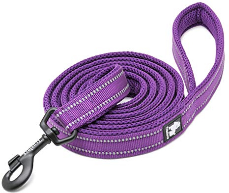 WINHYEPET Dog Leash Nylon Reflective,110cm Length(Purple,L) | Truelove Comfortable Handle Lead Puppy Training Walking Rope Easy Control Suitable Small Medium Large Breeds