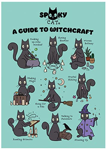 Spooky Cat A Guide to Witchcraft Mini-Poster 32x44cm