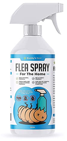 Buddy's Best Flea Spray for Home | Helps Manage Fleas, Dust Mites & Bed Bugs | Use on Carpets, Pet Beds & Home Furniture | Natural Formula with Essential Oils | Safe for Pets & Family