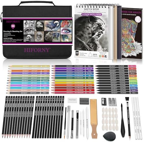 HIFORNY Set de Dibujo y Esquema de 100 Piezas, Materiales de Arte Profesionales con Lápices de Grafito, Carbón, de Colores, Acuarela, Metálicos, Herramientas de Mezcla (Negro)