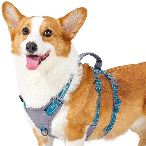 Huntboo Sicherheitsgeschirr Hund Ausbruchsicher, Panikgeschirr für Hunde, Reflektierendes Geschirr Hund mit Griff, Verstellbare Hundegeschirr für kleine, mittelgroße und große Hunde (Blaugrün,M)