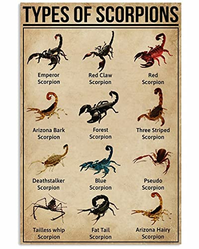 Ara Step Types Of Art Poster Prints 1 (Types Of Scorpions Vertikaler Kunstdruck Poster, Innendekoration Geschenk, 297 x 420 mm)