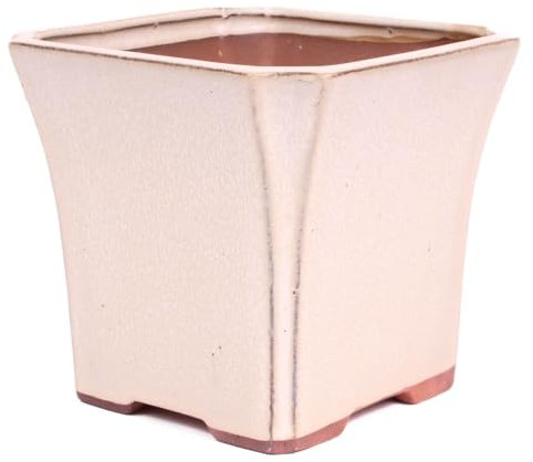 generisch Bonsai Kaskadenschale quadratisch 15.5 x 15.5 x 14 cm Creme 50212
