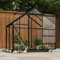 Gecheer Glas Gewächshaus Tomaten Treibhaus Glashaus Tomatenhaus Gartenhaus Pflanzenhaus Frühbeet Garten Anthrazit 155x103x191cm Aluminium