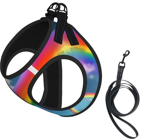 Hundegeschirr mit Leine, verstellbar, reflektierend, Regenbogen-Druck, Welpengeschirr