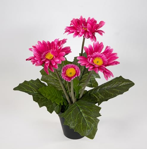 Gerbera 32cm im Topf JA künstliche Pflanzen Gerberapflanze Seidenblumen Kunstblumen Kunstpflanzen (Rosa-PInk)