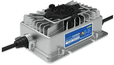 Batteria al litio LiFePO4 da 24 V e 100 Ah integrata con BMS da 100 A, oltre 15.000 cicli for sistema solare domestico(1pcs charger)