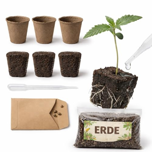 Cannabis Anbau Starter-Kit/Set für drei Gras/-Weed Pflanzen inkl. Anbauanleitung und Zubehör (3xGorillaGlue_Auto)