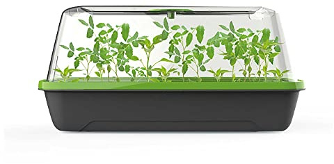 Romberg 16294163 - BOQUBE M - Serre et bac à plantes avec ventilation, ouverture d'arrosage, microclimat optimal et espace pour 18 comprimés de source - 37
