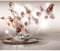 decomonkey Fototapete Blumen Orchidee 400x280 cm XL Tapete Wandbild Wandbild Bild Fototapeten Tapeten Wandtapete Wandtapete 3d Effekt Wasser rosa