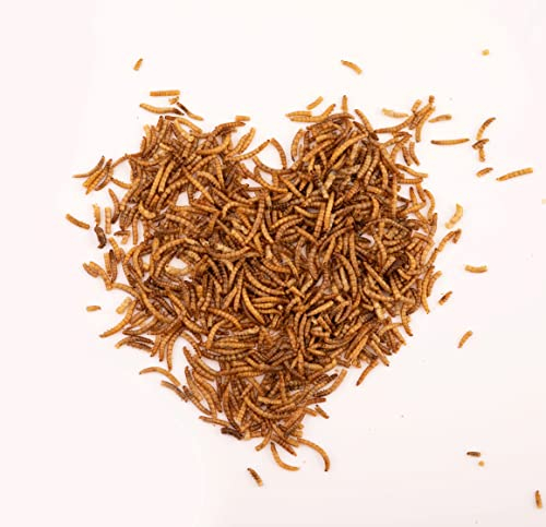 BREERs Mehlwürmer getrocknet 2Kg Futter Wildvogelfutter ganzjährig Insektensnack Igelfutter Hamster Eichhörnchen Fischfutter Nager Reptilien Geflügelfutter Schildkröten Vögel Fische Igel Vogelfutter
