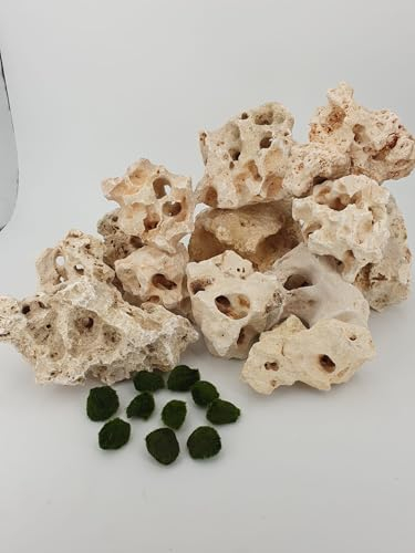 SAHAWA 15 Kg Premium weißes Lochgestein Größe S je 1-3 Kg ca. 12-15 Steine+ 10 kleine Mooskugeln 1-2 cm Aquarium Dekosteine Kalksteine
