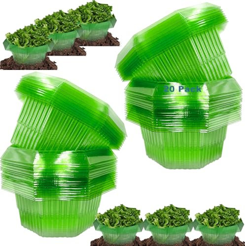 Sunshine smile 20 Stück Schneckenkragen,schneckenkragen aus Plastik,Schneckenschutz,Schneckenschutzringe,Schneckenringe Garten Effektiver Schneckenschutz für Ihre Salatpflanzen Hängende Tomaten