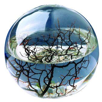 Ecosphere Kugel 16 cm