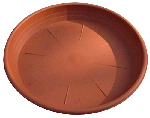 Blim Soucoupe cylindrique Marron foncé 32 cm