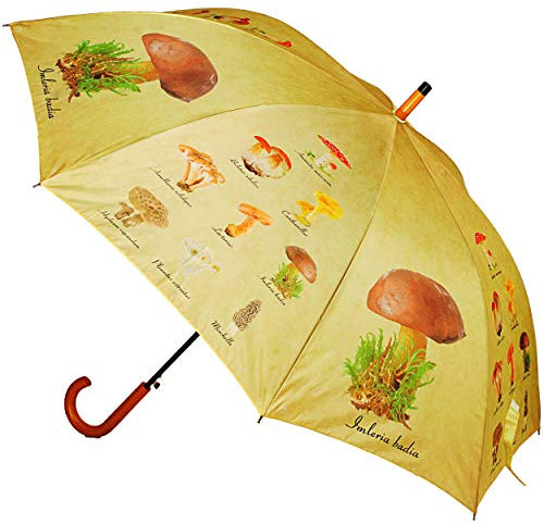 alles-meine.de GmbH großer XXL - Regenschirm - Automatik - Pilze - Waldpilze/Herbst - Ø 122 cm - Stockschirm mit Griff - Regenschirme - für Erwachsene - Partnerschirm/Partner..