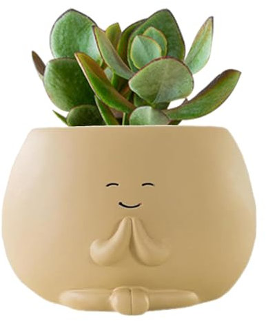 Generisch Smile Face Sukkulenten-Topf, Blumentopf aus Kunstharz mit Lächeln-Gesicht, UV-beständig, Entwässerungsloch, Beige, 4,5 Zoll Durchmesser, 3 Zoll Höhe, für Innen- und Außenbereich