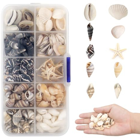 TOKSEO 200-230 Stück Kleine Natürliche Muscheln Deko, Muscheln zum Basteln, Gemischt Ungebohrt Mini Muschel Seesterne Muschelperlen für Vase Füllstoffe, DIY Dekorationsgemälde