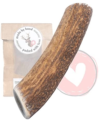 FOURLEGS® natürlicher Kausnack für Hunde aus 100% Hirschgeweih - Mineralstoffe, Kauspielzeug, Kaustange, Wildgeschmack, Geweih, Knochen, Hirsch, Kauartikel - Größe S ganz