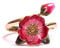 Bill Skinner - Flower Ring for Women, Nature Inspired, UK Designed, Enamel Finish, Cottage-core Wear, Enamel Flower Earrings, Intricately Detailed with Silk Pouch, Beautiful Gift for Her Birthday